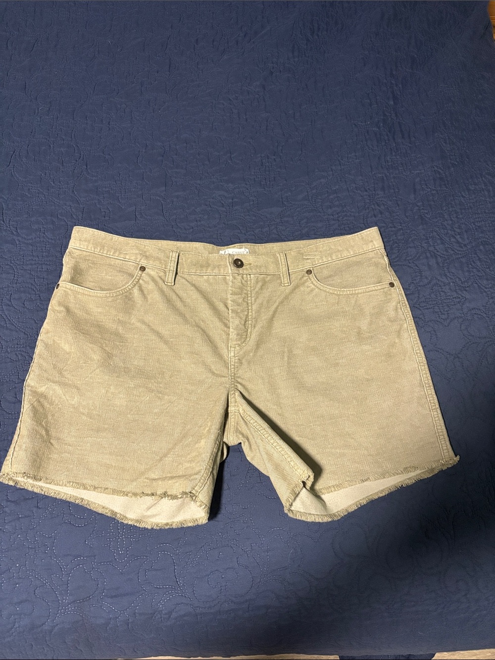 Carve Designs Shorts